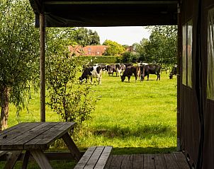 Verblijf 284507 • Vakantiewoning Rivierengebied • Vakantiehuis in Ommeren 