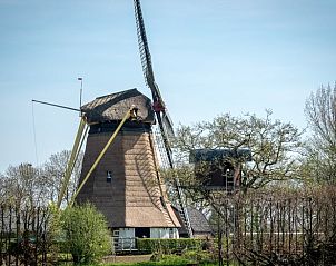 Pittoreske molen nabij Vakantiehuis in Deil in het Rivierengebied.