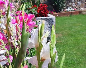 Verblijf 28514701 - Vakantiewoning Catalonië / Pyreneeën - Cal Francès