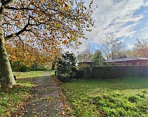 Pad naar Vakantiehuisje in Ochten, omgeven door herfstkleuren in Rivierengebied, Gelderland.