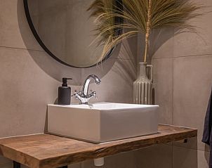 Moderne badkamer in Vakantiehuisje in Beneden-Leeuwen, uitgerust met stijlvolle wastafel.