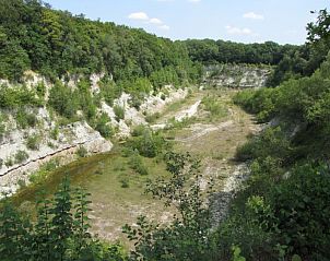 Adembenemend uitzicht op natuurgebied bij 't Zwaontje vakantiehuis in Winterswijk, Achterhoek, Gelderland.