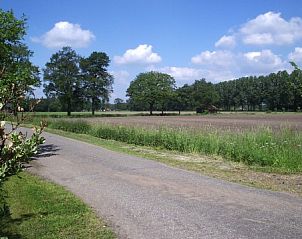 Landelijke weg nabij Sturrishuus appartement in Varsseveld, omgeven door groene velden in Gelderland.