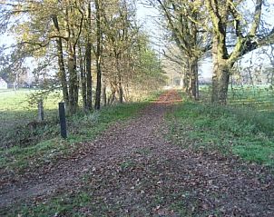 Rustiek bospad nabij BIJZONDERE EN UNIEKE GROEPSACCOMMODATIE IN DE ACHT, perfect voor natuurliefhebbers in de Achterhoek.