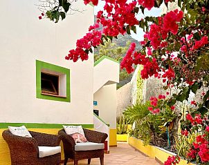 Guest house 29214401 • Bed and Breakfast Canary Islands • Casa Regina Tenerife 