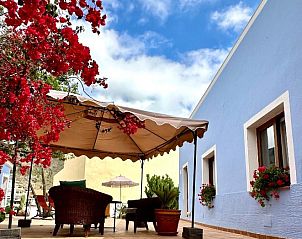 Guest house 29214401 • Bed and Breakfast Canary Islands • Casa Regina Tenerife 