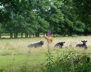 Verblijf 294723 - Vakantiewoning Achterhoek - Vakantiehuis Het Hof