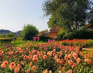 Verblijf 294723 - Vakantiewoning Achterhoek - Vakantiehuis Het Hof