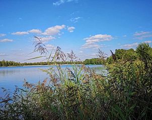 Prachtig uitzicht op een meer nabij Jonkersweg vakantiehuis, Winterswijk Meddo, omringd door natuur en blauwe luchten in de Achterhoek.