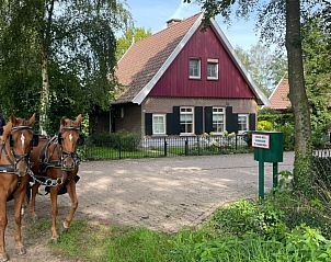 Charmant vakantiehuis Jonkersweg in Winterswijk Meddo met paarden voor de deur, gelegen in het groene Achterhoekse landschap.