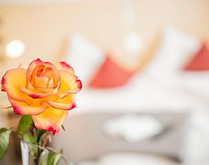 Verblijf 29902003 - Vakantie appartement Baden-Württemberg - City-Hotel garni