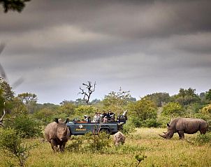 Guest house 3026803 • Holiday property Mpumalanga • Motswari Private Game Reserve 