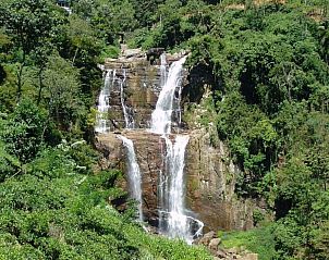 Guest house 3042001 - Holiday property Middle-Sri Lanka - Briddens Cabanas