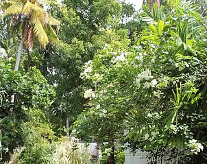 Unterkunft 3051301 - Ferienhaus Süden_Sri Lanka - Singha Paya