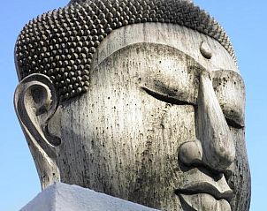 Guest house 31306521 - Holiday property England - Windfalls Boutique Hotel