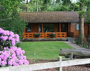 Verblijf 320135 • Bungalow Veluwe • veluwe vakantie bungalow 