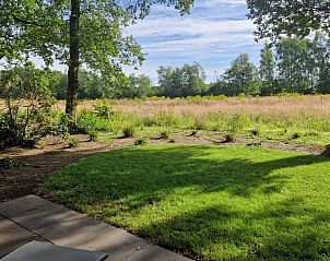Uitzicht vanaf het terras van chalet In de bosrand Wood 386 Bospark Ede, Ede, Veluwe, met groene velden en bomen.