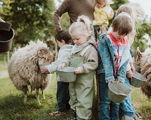 Kinderen voeren schapen bij Huisje in Oosterwolde, bed and breakfast op de Veluwe, Gelderland.