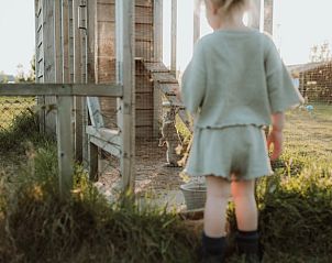 Kind bij dierenverblijf in Huisje in Oosterwolde Gelderland, een speelse ervaring op de Veluwe.