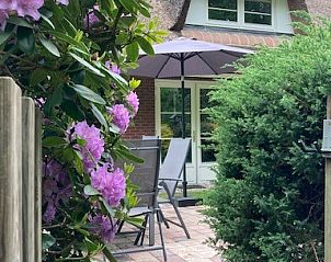 Gezellig terras bij www.vakantiebungalow-epe.nl in Epe, Veluwe met kleurrijke bloemen en comfortabele zitplek.