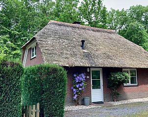 Rustieke vakantiewoning www.vakantiebungalow-epe.nl in Epe, Veluwe omringd door groene natuur.