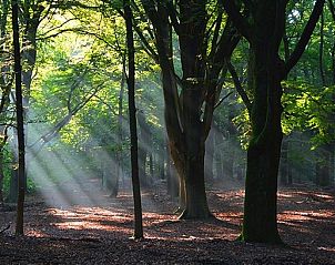 Verblijf 322747 - Vakantiewoning Veluwe - www.vakantiebungalow-epe.nl