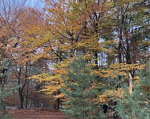 Verblijf 322747 - Vakantiewoning Veluwe - www.vakantiebungalow-epe.nl