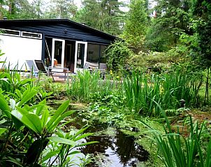 Vakantiehuis Jutta in Nunspeet op de Veluwe, Gelderland, omgeven door weelderige natuur en een serene vijver.