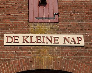 Bloeiende tuin rondom Vakantiehuis in De Steeg, Veluwe, Gelderland.