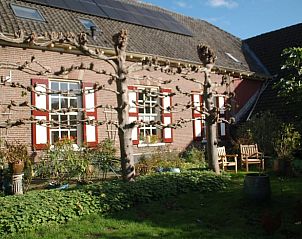 Adembenemend landschap rondom Vakantiehuis in De Steeg, Veluwe, Gelderland.