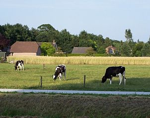 Prachtig landschap rond Borchgstede bed and breakfast in Heerde, Veluwe.