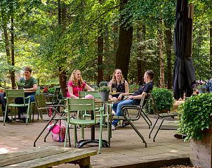 Gezellig terras bij vakantiehuis in Apeldoorn, omringd door de prachtige Veluwse natuur.
