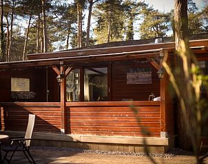 Guest house 324305 • Holiday property Veluwe • Vakantiehuisje in Doornspijk 