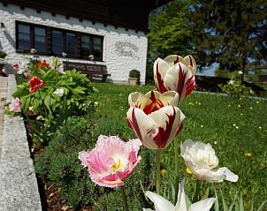 Guest house 32903303 - Holiday property Bavaria - Gstehaus Funk