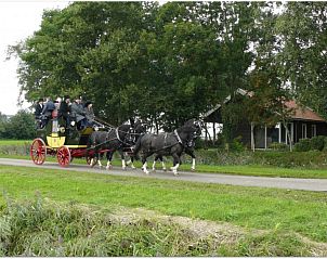 Traditionele koets passeert Chalet Wildemansheerd in Schildwolde, vakantiehuis omgeven door natuur in Groningen.