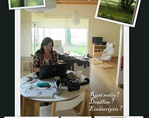 Collage van activiteiten en natuur rondom Chalet Wildemansheerd in Schildwolde, vakantiehuis in Groningen.