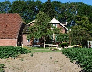 Uitzicht op De Olde Stoeve vakantiehuis in Nieuwolda, Groningen tussen groene velden.