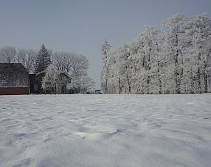 Winterlandschap bij De Olde Stoeve vakantiehuis in Nieuwolda, Groningen met besneeuwde bomen.