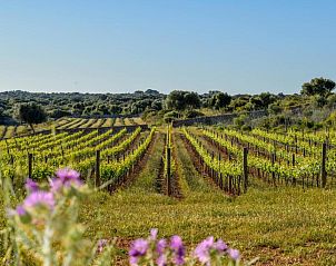 Guest house 33316006 - Apartment Mallorca - Torralbenc, a Small Luxury Hotel of the World