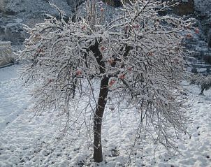 Verblijf 33814101 - Vakantie appartement Andalusie - Quentar Hotel