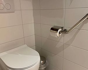 Moderne badkamer in Vakantiehuisje in Houwerzijl, Noordwest Groningen met toilet en handgreep.