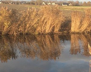 Natuurlijke waterkant nabij Vakantiehuisje in Houwerzijl, Noordwest Groningen met riet.