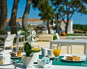 Guest house 34416001 - Apartment Mallorca - Hotel Rural Binigaus Vell