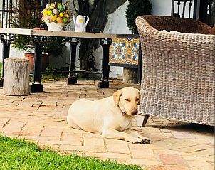 Unterkunft 34714105 - Ferienhaus Andalusien - Hacienda La Indiana