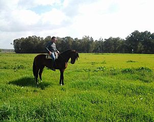 Unterkunft 34714105 - Ferienhaus Andalusien - Hacienda La Indiana