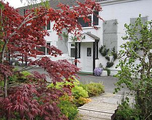 Guest house 3706703 • Holiday property Wales • Cwmbach Guest House 