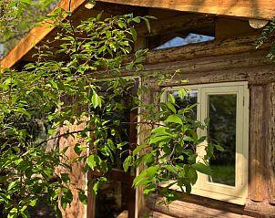 Verblijf 371503 - Vakantiewoning Midden Limburg - Vakantiehuis in Koningsbosch