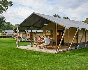 Verblijf 372415 - Tenthuis Midden Limburg - Glamping Tent Comfort