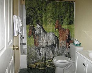 Unterkunft 3725801 - Appartement Rocky Mountains - Western Motel