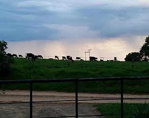 Verblijf 3726601 - Bed and breakfast Kwazoeloe-Natal - Wild Berry Guest Farm